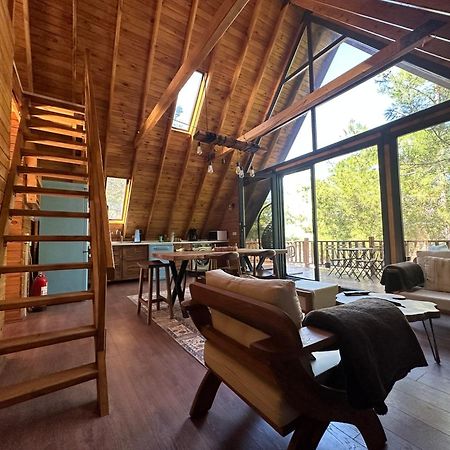 Panurlawoodenhouse Oezel Havuz& Sauna Mavi المظهر الخارجي الصورة