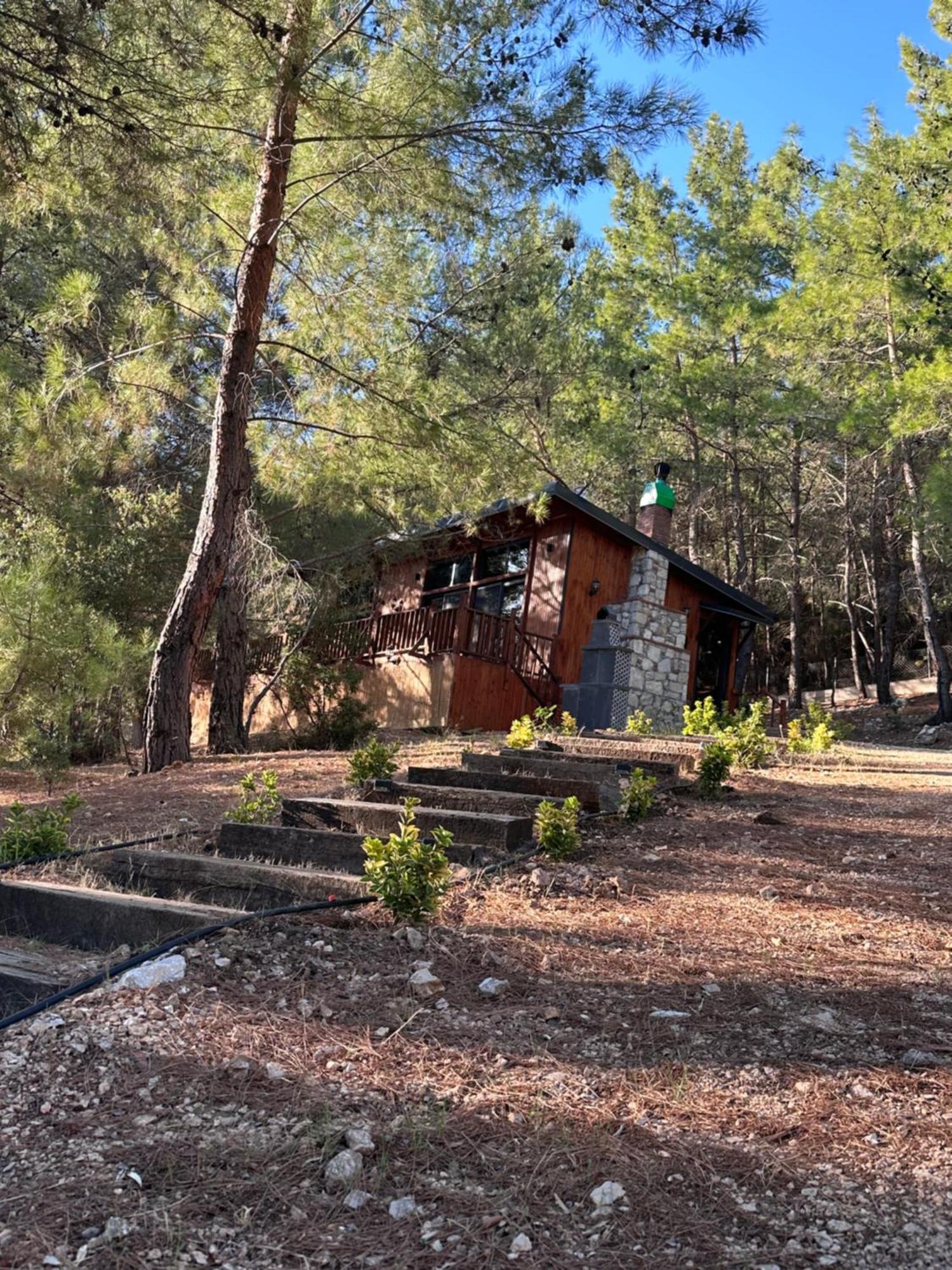 Panurlawoodenhouse Oezel Havuz& Sauna Mavi المظهر الخارجي الصورة